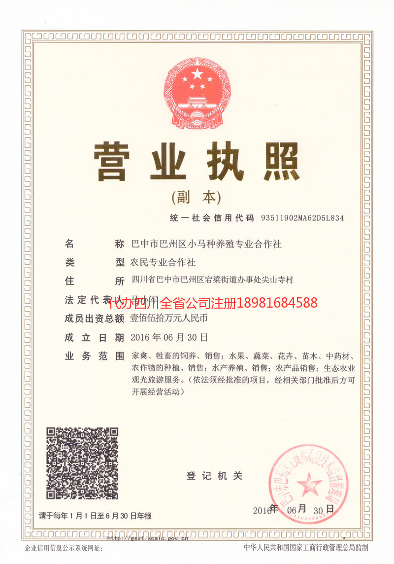 伊春伊春小马种养殖专业合作社